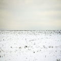 Minimalistic Winter Landscape
